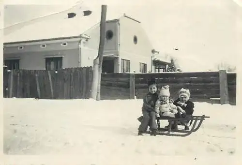Photo format 6 x 9 cm social history winter scene kids on a sled snow