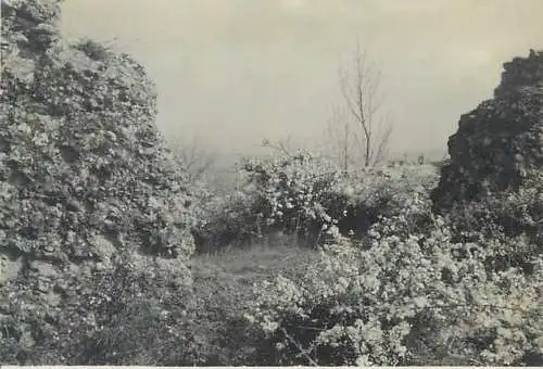 Photo format 6 x 9 cm social history landscape