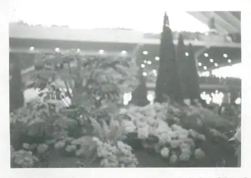 Photo format 6 x 9 cm social history terrace view