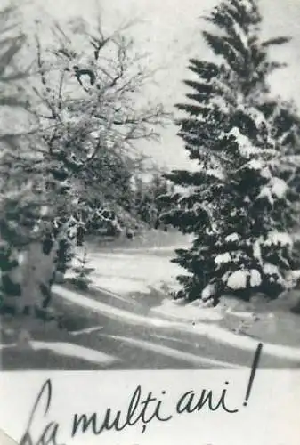 Photo format 6 x 9 cm social history greetings card Happy new year Romania winter scene