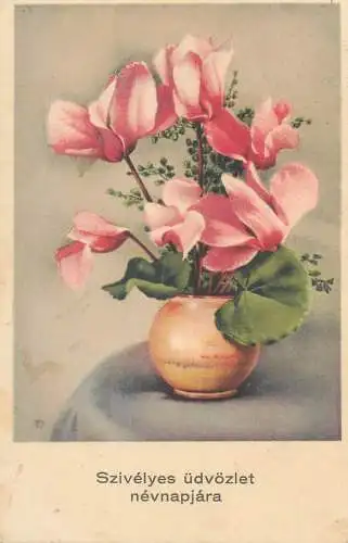 Name Day greetings Postcard pot floral arrangement
