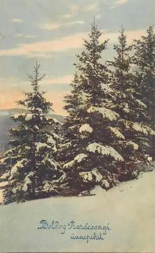 Christmas greetings Postcard Forest winter scenery