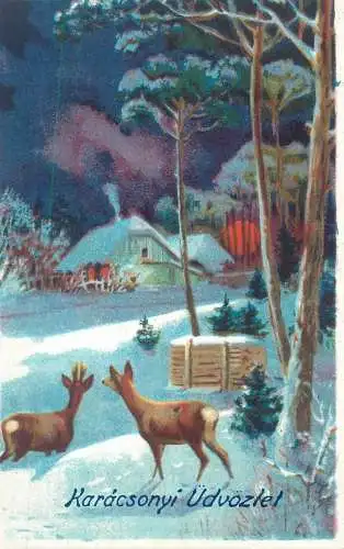 Christmas greetings Postcard winter night deer at the forest edge