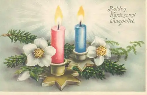 Merry Christmas greetings illustration Postcard lit candles flowers fir tree branch decoration ornament