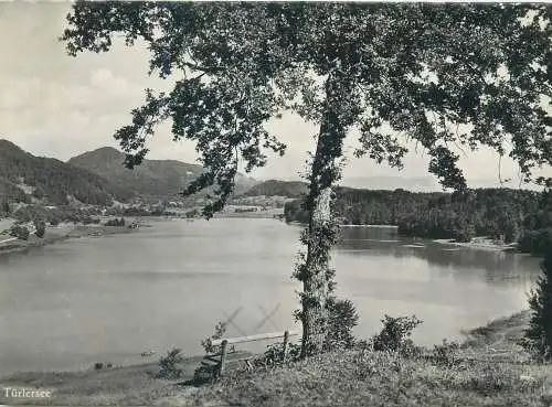 Postcard Switzerland Turlersee