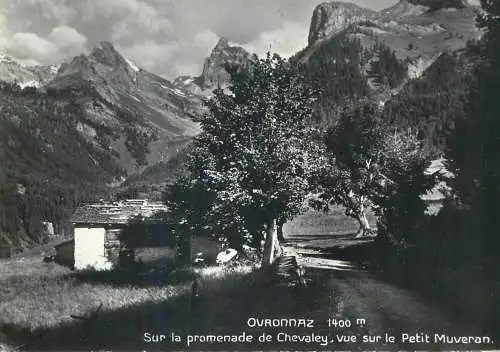 Postcard Switzerland Ovronnaz promenade de Chevaley , Petit Muveran paysage de montagne
