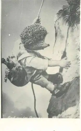 Postcard Mecki the hedgehog mountain climbing