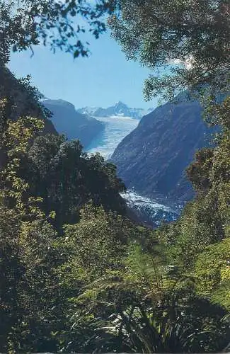 Postcard New Zealand landscape