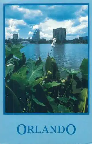 Postcard USA FL Orlando lake scene 1992