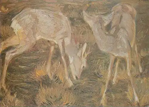 Fine Arts Postcard Deer in the dawn Franz Marc painting