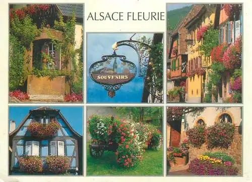 Postcard France Alsace Fleurie multi view