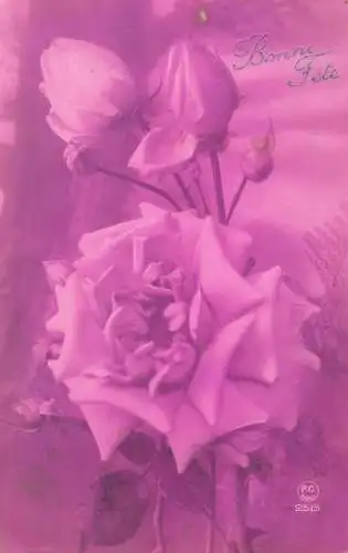 greetings Bonne Fete Post card roses