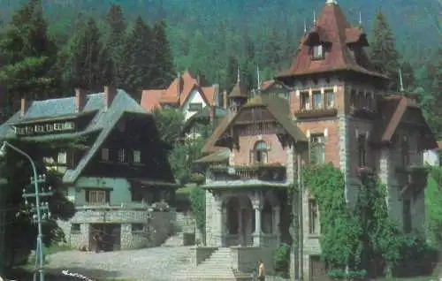 Hotels restaurants postcard Romania Sinaia Zambezi and Panseluta villas 1969