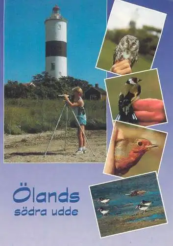 Sweden Postcard young boy bird watching at Lange Jan lighthouse