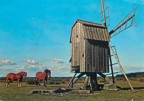 Sweden Postcard rural area place to identify horses animal types and scenes