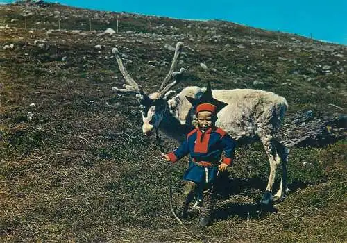 Postcard Norway Lapp-boy with rein deer ethnic types and scenes