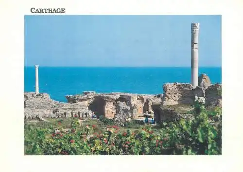 Postcard Africa Tunisia Carthage Antonin hot springs and ruins