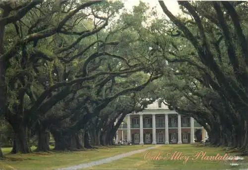 Postcard USA LA Oak Alley plantation Vacherie greek revival style 1998