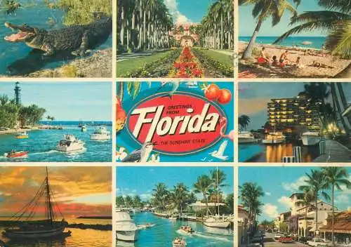 Postcard USA FL Florida multi view Sunshine state lighthouse croc yacht
