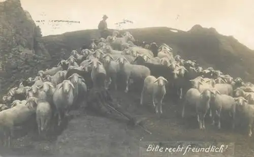 Freibettenfond fur unbemittelte Lungenkranke Postchreck X 1094 Davos shepards sheep photo postcard moutons suisse