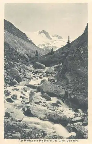 Alp Plattas mit Piz Medel und Cima Camadra