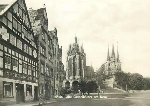 Germany postcard Erfurt Alte Giebelhauser am Dom