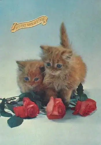 Belgium postcard greetings card with cats 1983