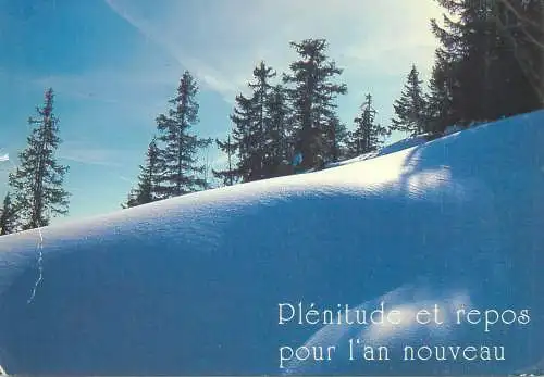 Belgium postcard winter mountain scene
