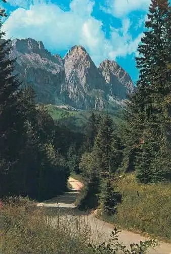 Italy postcard Dolomiti Monte Agner gruppo Pale di S. Martino