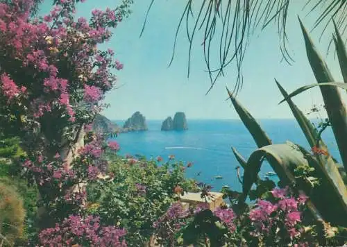 Italy postcard Capri the Faraglioni from Villa Eremo 1980