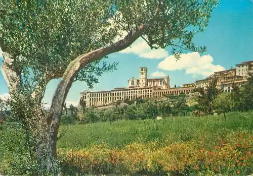 Italy postcard Assisi basilica di S Francesco e Sacro Convento