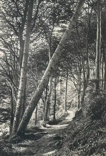 France postcard Dinard chemin de ronde de la Vicomte