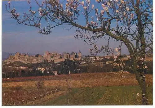 France postcard Aude Carcassonne cite medievale 1993