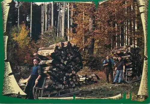 France postcard les schlitteurs des Vosges 1982