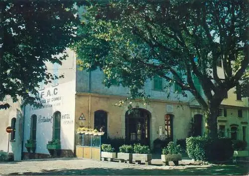 France postcard Saint Vallier de Thiey 1981