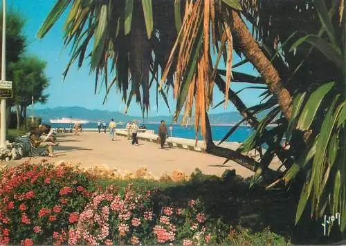 France postcard La cote d'Azur Cannes the gardens 1981