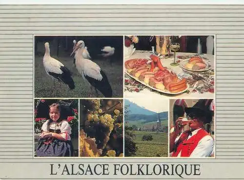 France postcard L'Alsace Folklorique multi view 1991