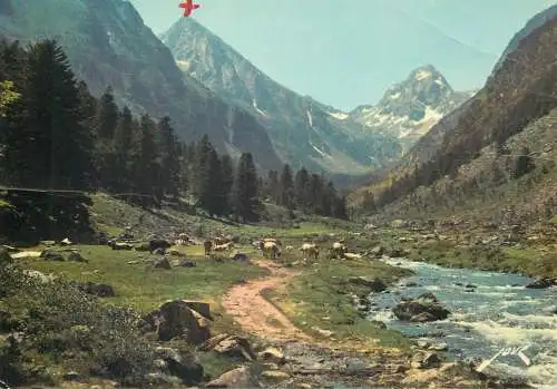 France postcard Les Pyrenees Cauterets chemin vers le lac d'Estom 1987