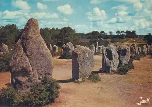 France postcard Bretagne Carnac alignements de Kermario 1981