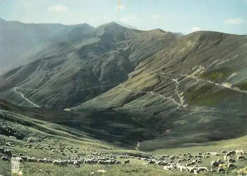 France postcard Paturages au col d'Allos les lacets du Col er au loin Grande