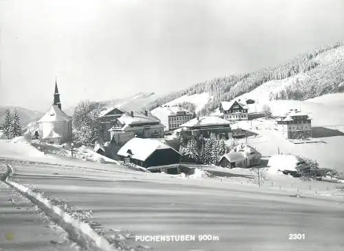 Austria postcard Puchenstuben village scene winter