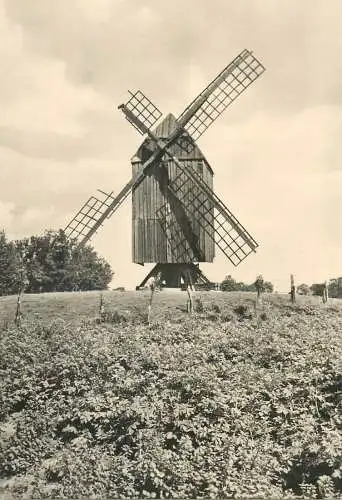Germany postcard Greifswald Eldena Alte Muhle wind mill