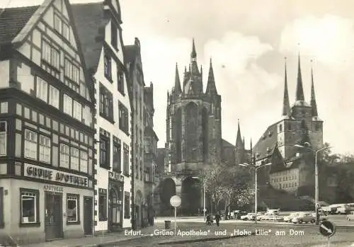 Germany postcard Erfurt Grune apotheke und Hohe Lilie am dom
