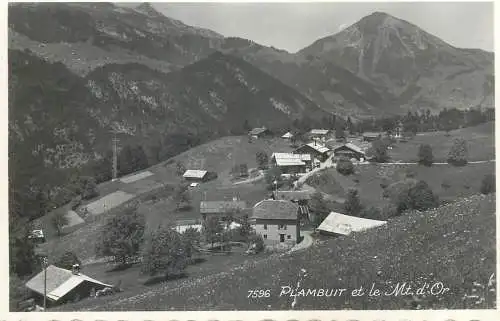 Switzerland postcard Plambuit et le Mount d'Or