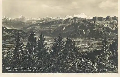 Switzerland postcard Au Saleve pres Geneve Les 13 arbres et le Mt. Blanc 1929