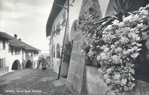 Switzerland postcard Eriach Partie beim Schloss 1964