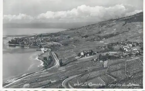 Switzerland postcard La corniche et vignobles de Lavaux