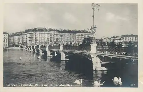 Switzerland Geneve pont du Mt. Blanc et les Mouettes