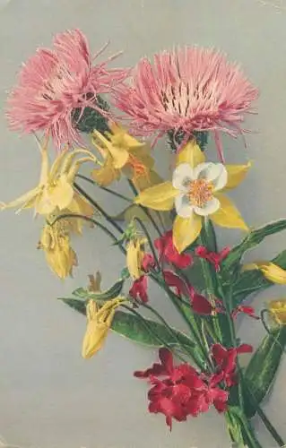 Post card wild flowers colourful bouquet