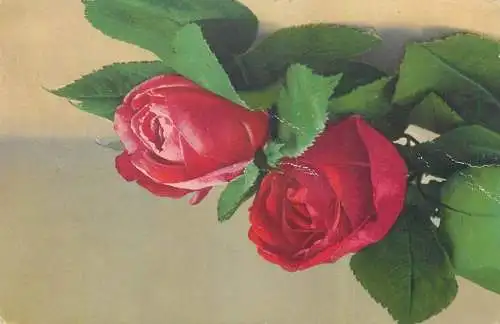 Post card roses bouquet detail view